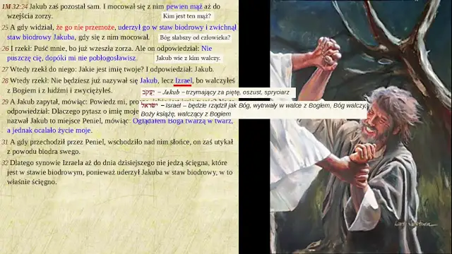 1M_cz20