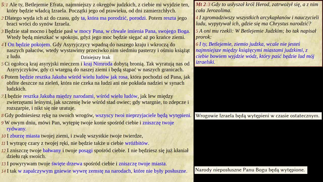 Studium środowe
