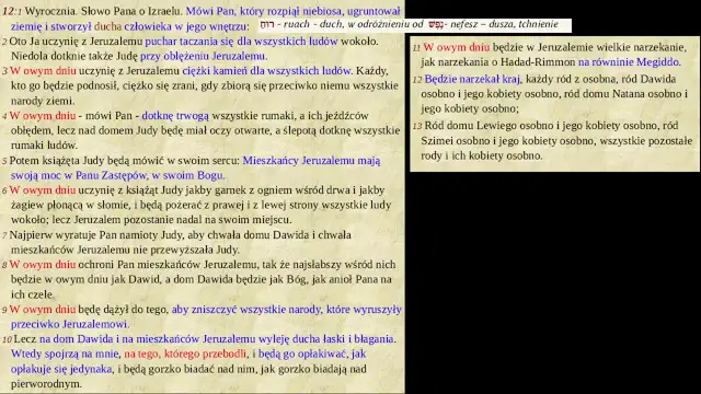 Zachariasza_12d014